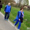 Masone 2017